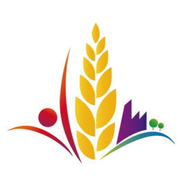 Municipalidad de Leones