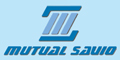 Mutual Siderurgica General Savio