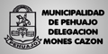 Municipalidad de Pehuajo - Delegacion Mones Cazon