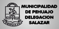 Municipalidad de Pehuajo - Delegacion Salazar