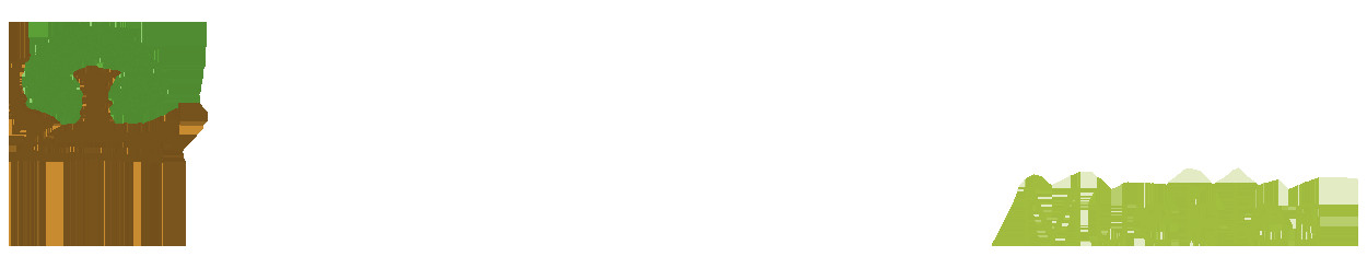 Luis Campagnola Muebles