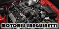 Motores Sanguinetti