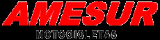 Amesur SA