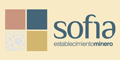 Establecimiento Minero Sofia SRL