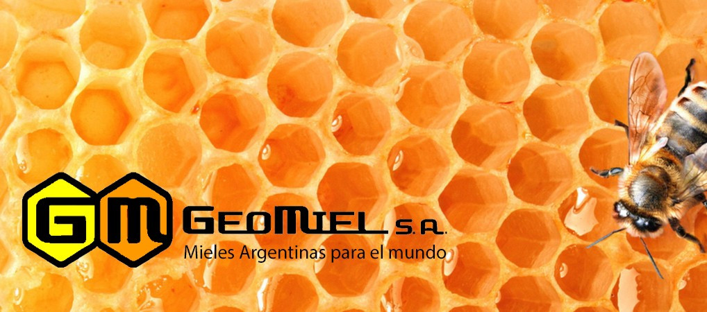 Geomiel SA
