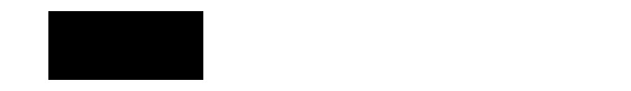 Establecimiento Metalurgico Villa Adelina SA