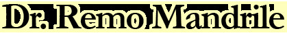 Dr Remo R Mandrile