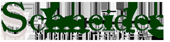 Schneider Soluciones Integrales SA