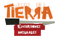Tierra Turismo