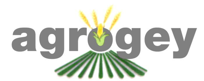 Ingersoll Argentina SA