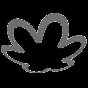 Natura Cosmeticos SA