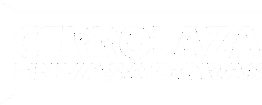 Ensachetadora Fabian Cerrolaza