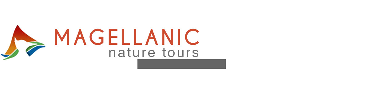Magellanic Nature Tours