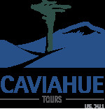 Caviahue Tours Viajes y Turismo