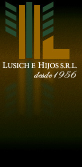 Lusich e Hijos SRL