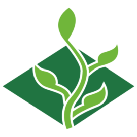 Asociacion Civil Alihuen