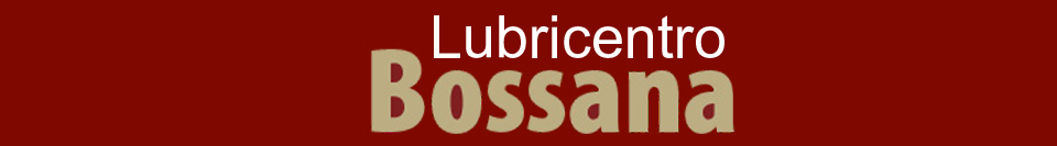 Lubricentro Bossana