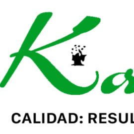 Empresa de Servicios Kalku SRL