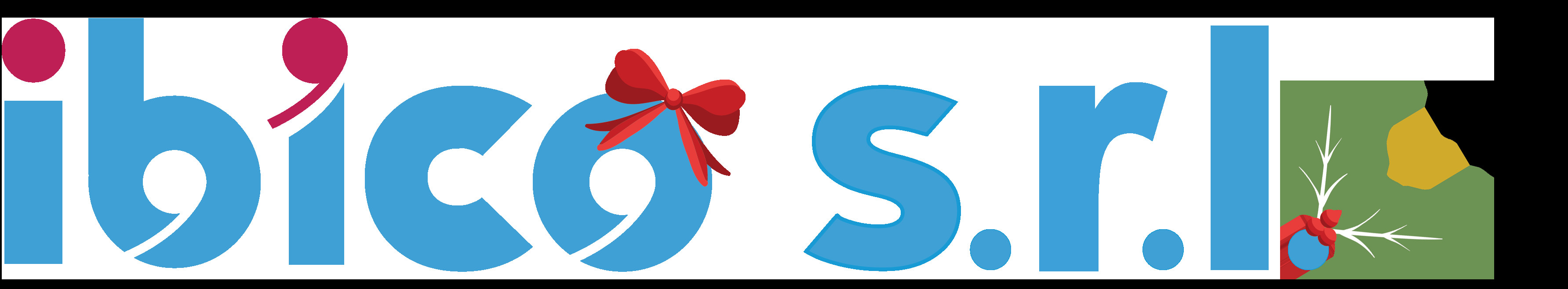 Ibico SRL