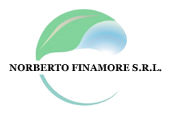 Finamore Norberto