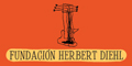 Fundacion de Niños Musicos Herbert Diehl