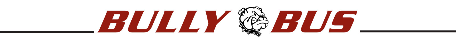 Bully - Bus Trafic Pasajeros Minibus Transporte Escolar