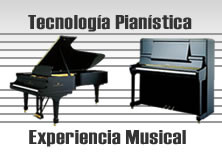 Afinacion de Pianos Tec G Lorenzi