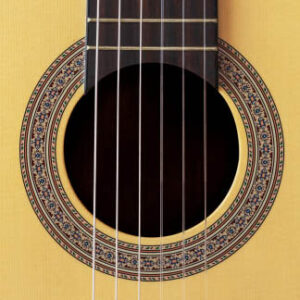 Guitarras - Leonardo Lizzano