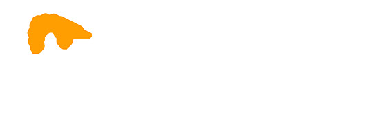 Instituto Tecnologico Universidad de la Punta