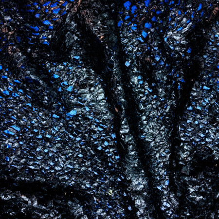 Escuela Argentina de Moda