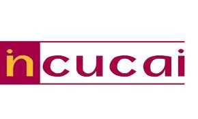 Instituto Nacional Central Unico Coordinador de Ab