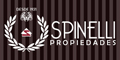 Spinelli Propiedades