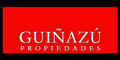 Guiñazu Propiedades