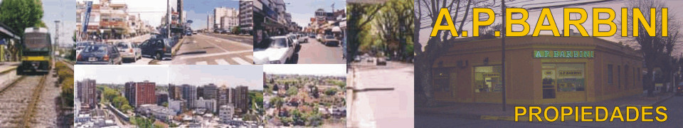 Barbini Propiedades