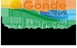Gonde Tours