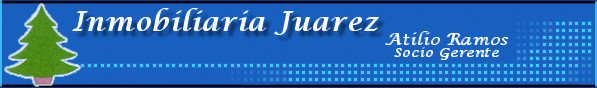Inmobiliaria Juarez