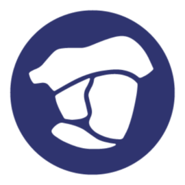 Cau Viedma - Universidad Siglo 21