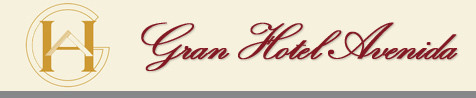 Gran Hotel Avenida