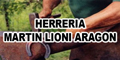 Herreria Martin Lioni Aragon