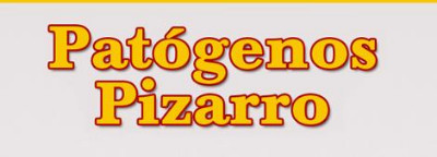 Transporte de Residuos Patogenos Pizarro Maria Pia