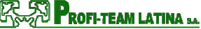 Profiteam Latina SA