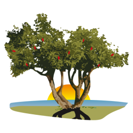 Complejo la Tranquila