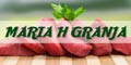 Maria H Granja