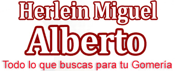 Miguel Alberto Herlein