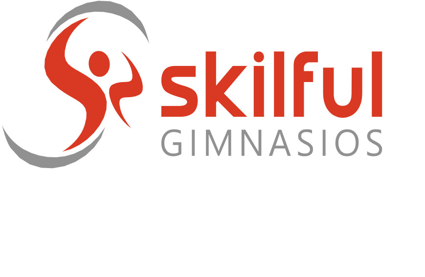 Gimnasio Skilful