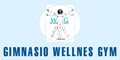Gimnasio Wellnes Gym