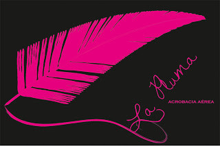 La Pluma Acrobacia Aerea