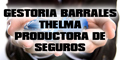 Gestoria Barrales Thelma - Productora de Seguros