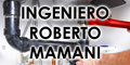 Ingeniero Roberto Mamani