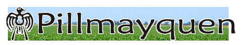 Pillmayquen SA